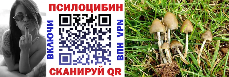 Галлюциногенные грибы MAGIC MUSHROOMS  наркота  блэк спрут вход  Яранск 